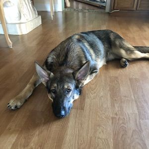 Meet your Posher, Cindy